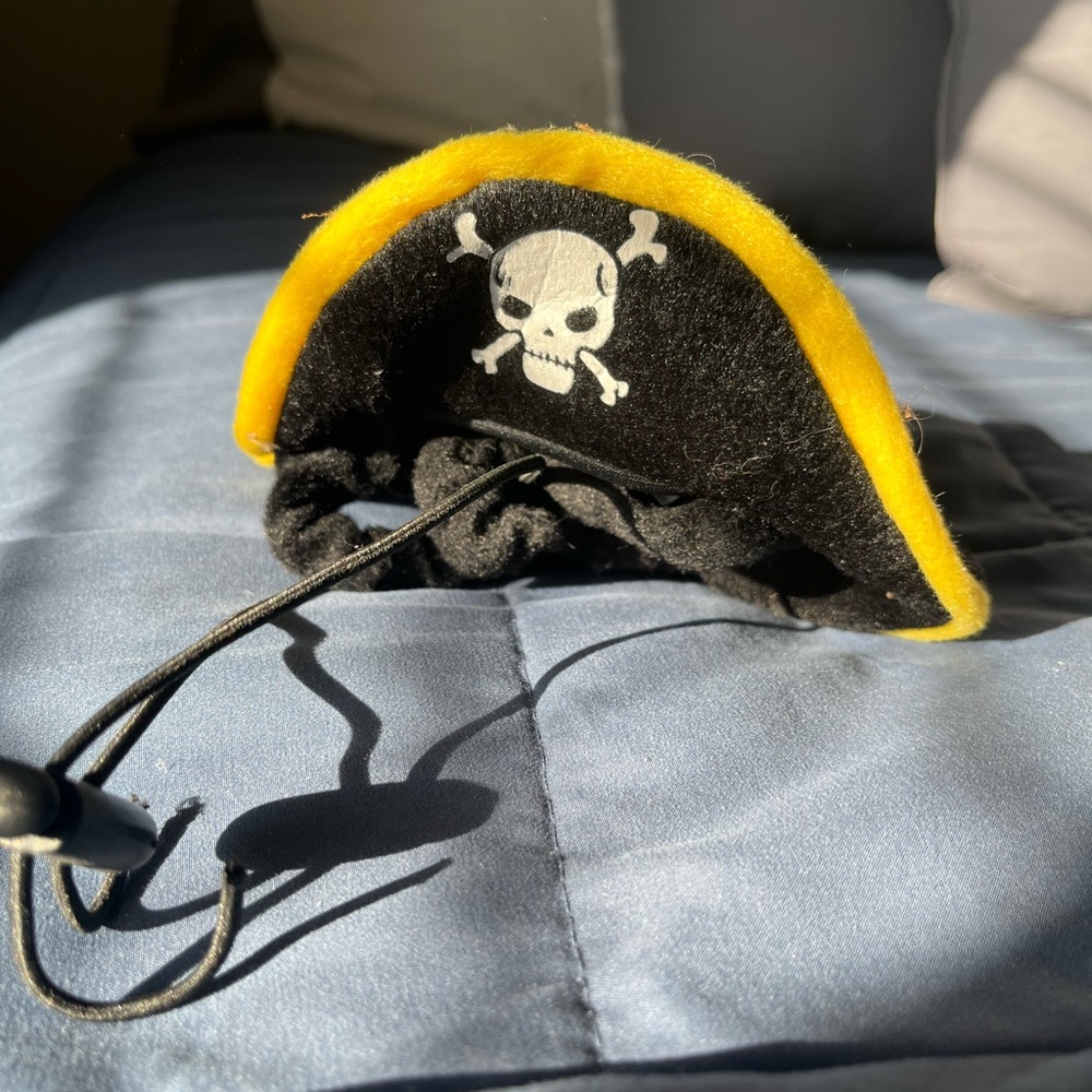 Small Dog Pirate Hat